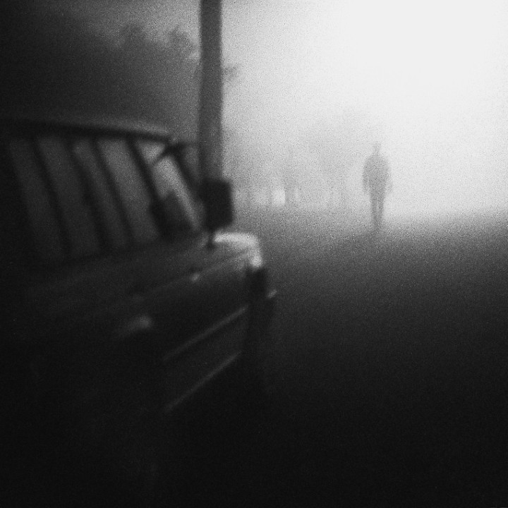 Into the Night